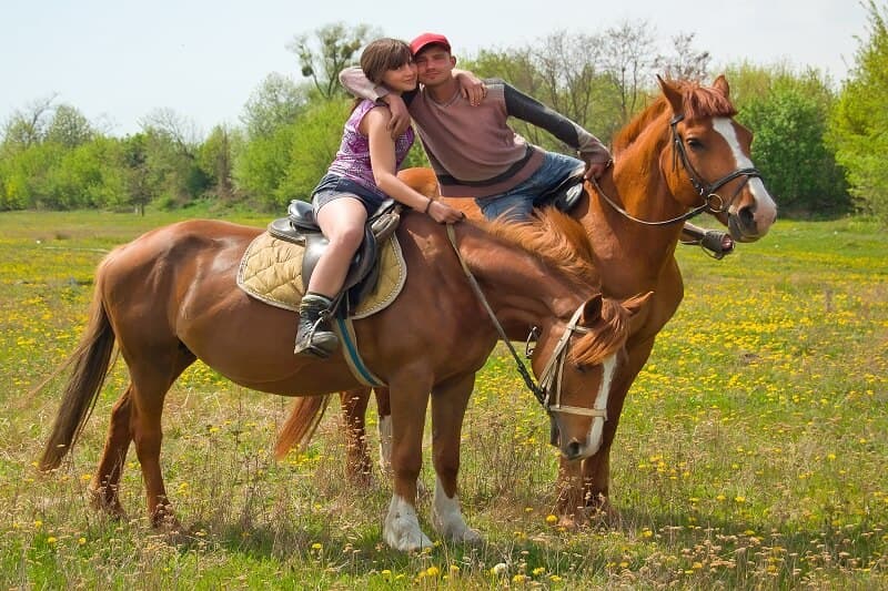 HORSE CLUB
